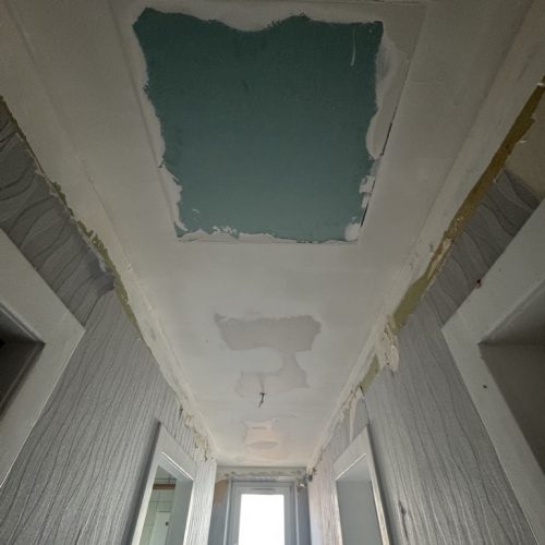 A72EA724-FF81-4A79-845F-1E16E192CB37_1_105_c