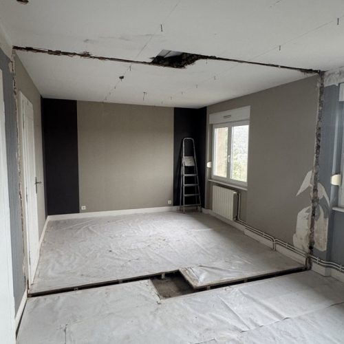 E38E8DF0-1A60-4DA2-9A48-224BE4D7F9E2_1_105_c