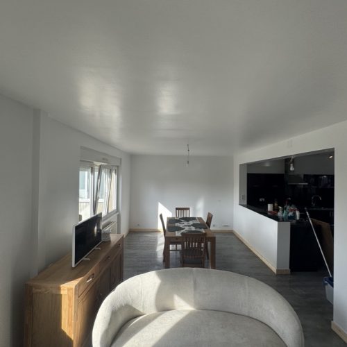 FA91347A-8D5A-4A55-B1E9-9B5FC67E4804_1_105_c