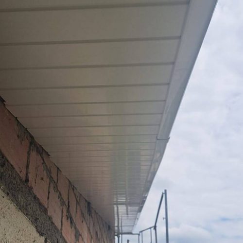 img-20230731-wa0022-standard